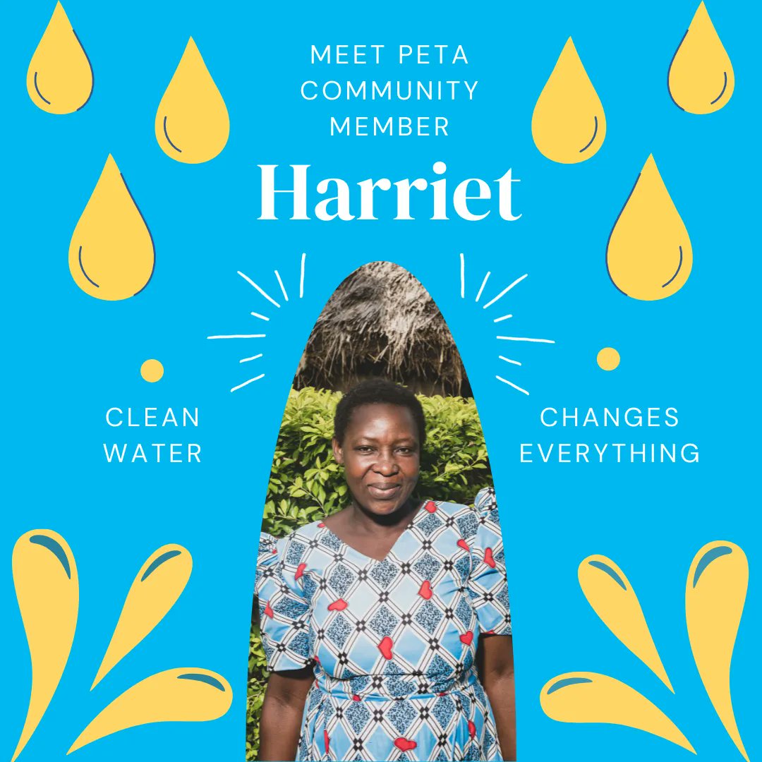 Every person from Peta we spoke to says the same thing: We need clean, safe water. 

This #WorldWaterDay, read Harriet's story and learn how you can help bring clean, safe water to Peta, #Uganda 

buff.ly/3bxg48h