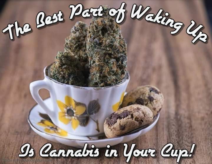 MrPeeps7's tweet photo. Good morning fellow stoners 🌞
Wake, bake, and be great 👍 
Stay lifted my friends ✌💚
#Mmemberville #wakeandbake https://t.co/UW0eULhDz7