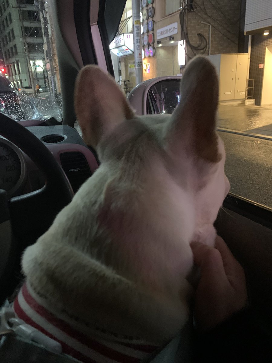 Bb420y's tweet photo. ドライブ https://t.co/3F20T1jZuH