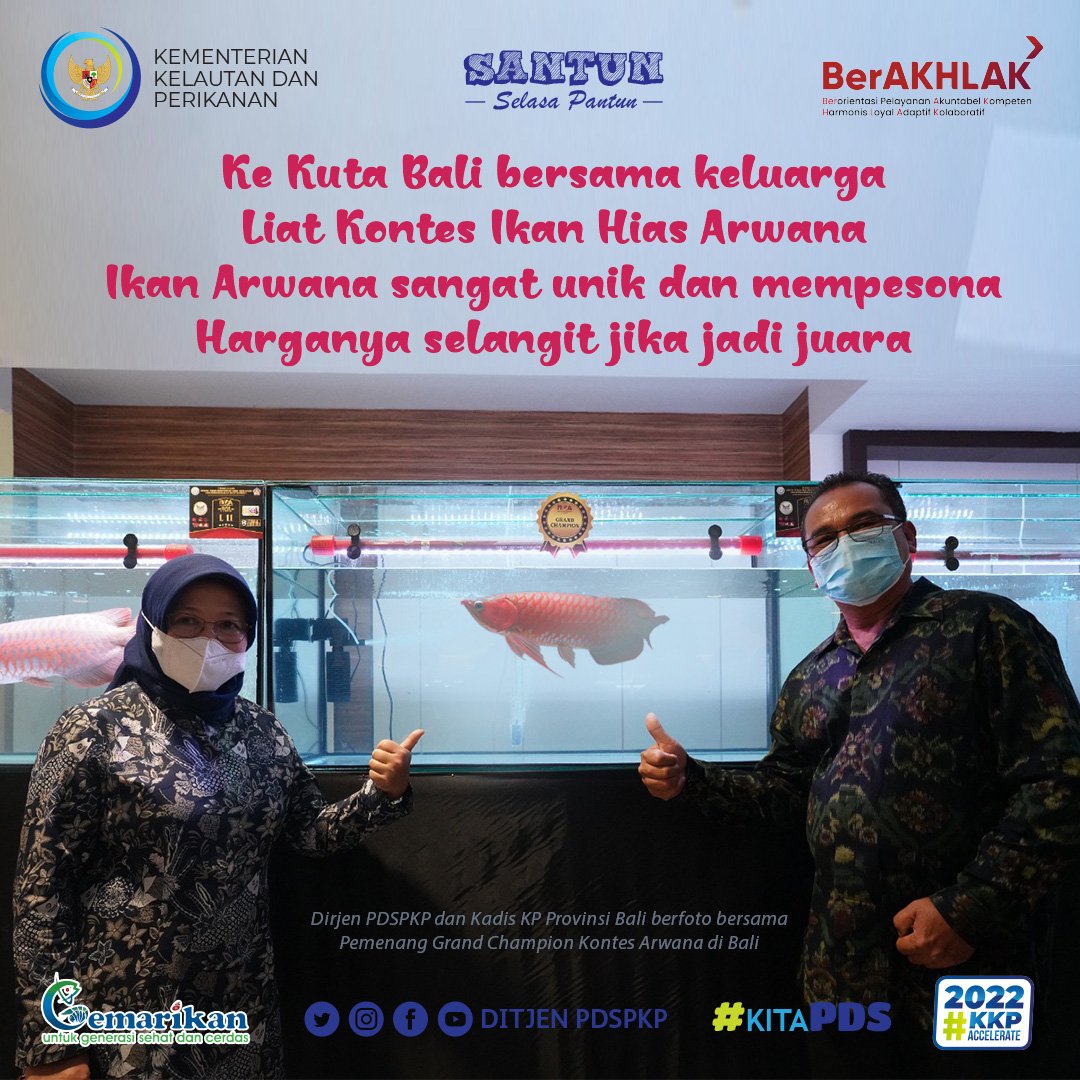 Ikan satu ini akan semakin melejit harganya jika menang juara kontes lho gaes. Sudah tahu kan kalo ikan hias yang satu ini  sangat indah &amp; menarik minat penghobi sampai keluar negeri? Simak yuk pantun dari mimin gaes 🥰
#KKPAccelerate 
#KKPGOID
#SAKTIWAHYUTRENGGONO
#MENTERIKKP