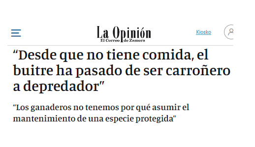 CastellaNatura's tweet photo. Los buitres, carroñeros desde el Pleistoceno, cientos de miles de años más tarde se han vuelto depredadores. Y lo han hecho en dos tardes, tremenda peripecia evolutiva https://t.co/xW1oiF9t3b