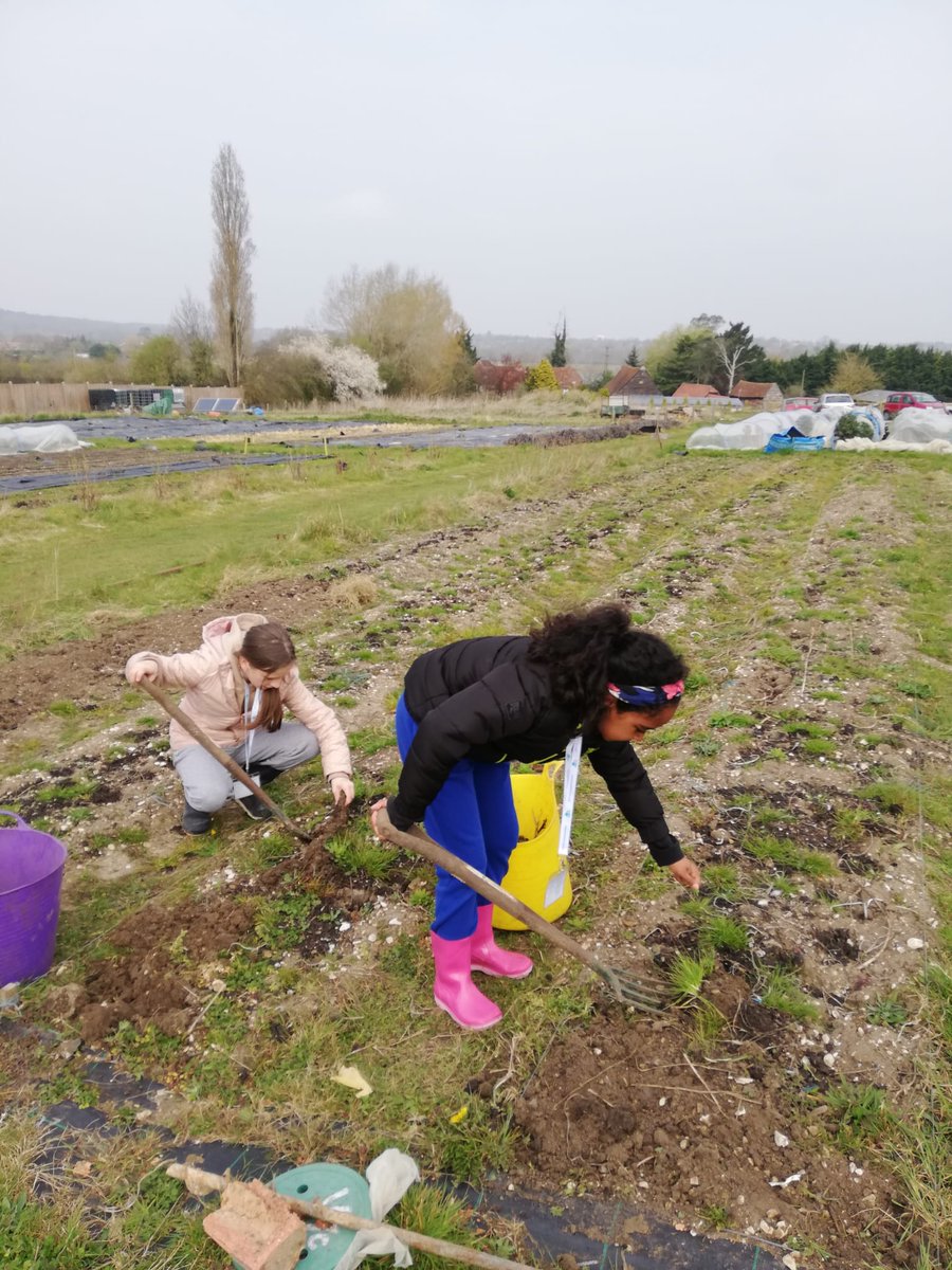 YESfutures's tweet photo. Our fantastic #FindingFutures students from
@ShelleyPrimary had an action-packed day of volunteering at #FarnhamCommunityFarm!💚
They all got stuck into a variety of activities, putting their goals into action!
#PlayYourPart #CommunityAction
https://t.co/AhnyqTnbjh https://t.co/Fg9q75xaCT