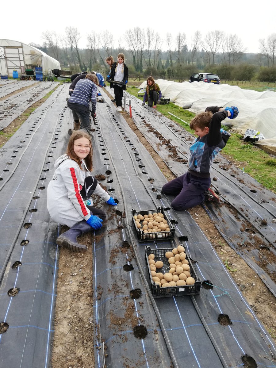 YESfutures's tweet photo. Our fantastic #FindingFutures students from
@ShelleyPrimary had an action-packed day of volunteering at #FarnhamCommunityFarm!💚
They all got stuck into a variety of activities, putting their goals into action!
#PlayYourPart #CommunityAction
https://t.co/AhnyqTnbjh https://t.co/Fg9q75xaCT