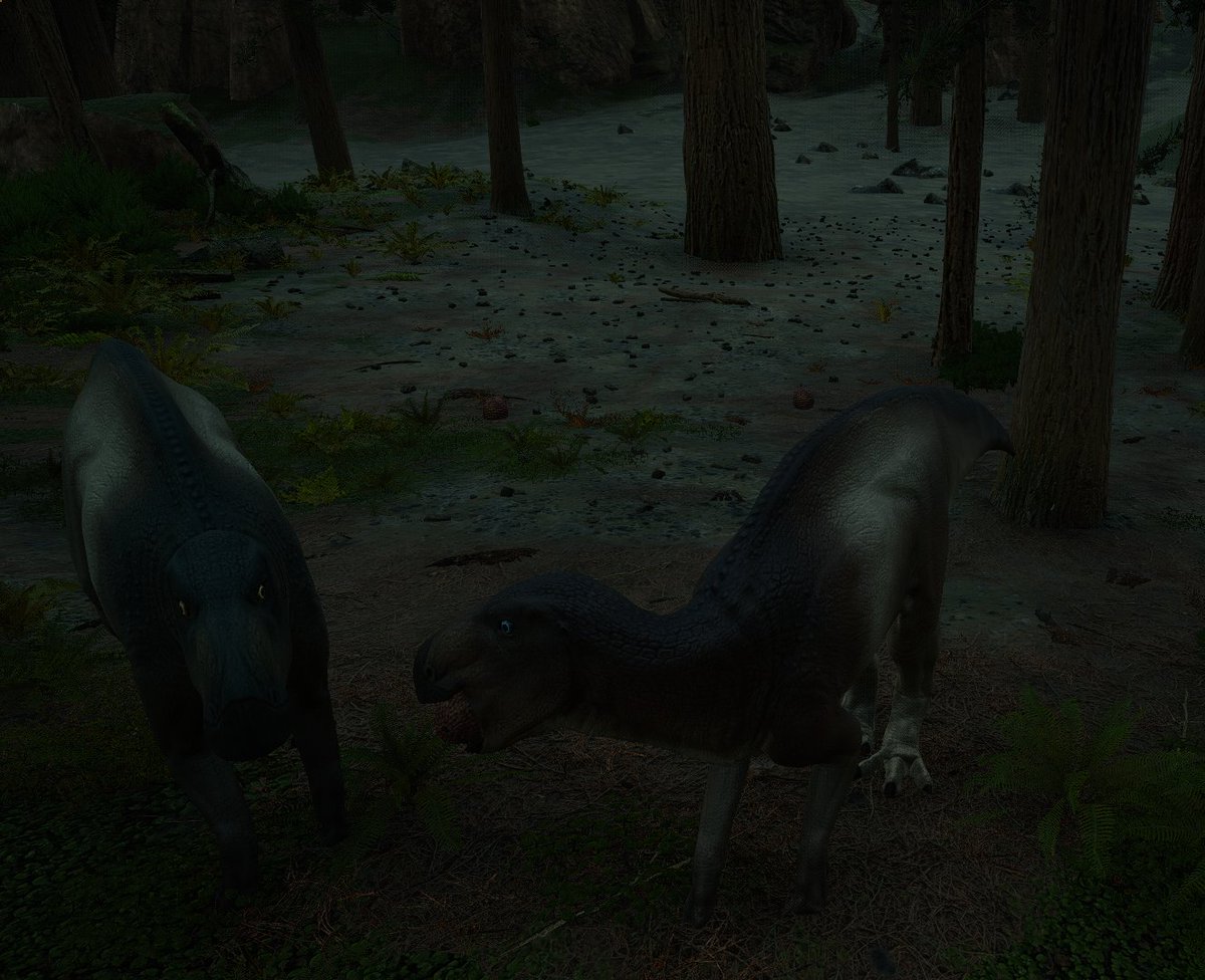ChonkyOnion's tweet photo. Two cows being cows. One with a lychee and one having a 500-yard stare. I love how goofy they look from the front! (sorry for posting this again, I messed some tags up. This is for a giveaway btw) #Pathoftitans #Hadro #Hadrosaur #Barsboldia #Hadrosale https://t.co/q38qyz6C6g