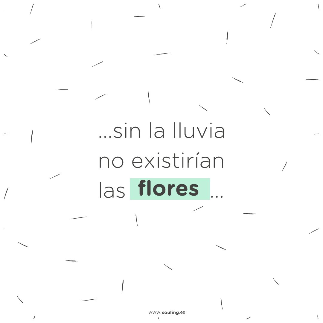 "𝚜𝚒𝚗 𝚕𝚊 𝚕𝚕𝚞𝚟𝚒𝚊 𝚗𝚘 𝚎𝚡𝚒𝚜𝚝𝚒𝚛í𝚊𝚗 𝚕𝚊𝚜 𝚏𝚕𝚘𝚛𝚎𝚜" 🌼🤍Hasta en el peor momento, pararse a mirar el significado que nos trae la lluvia y buscar en ella su significado nos hará crecer emocionalmente y por tanto, florecer.
⠀