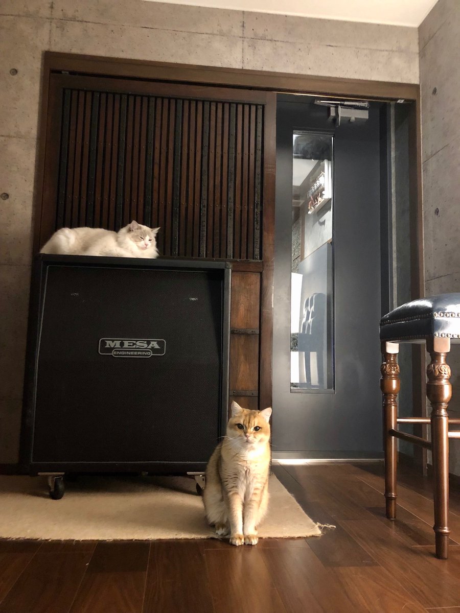 HiroMETALSAFARI's tweet image. EQで削り取れないアッパーミッドスパイクの除去をやって頂きました。どうやって可能にできたのかさっぱりわからないですが完全に除去されました。

王道のメサキャビ攻略に一歩近付きました。最近の作品はこの改造メサキャビメインです。HellAudioのビルダーの込山さんありがとうございました🤘