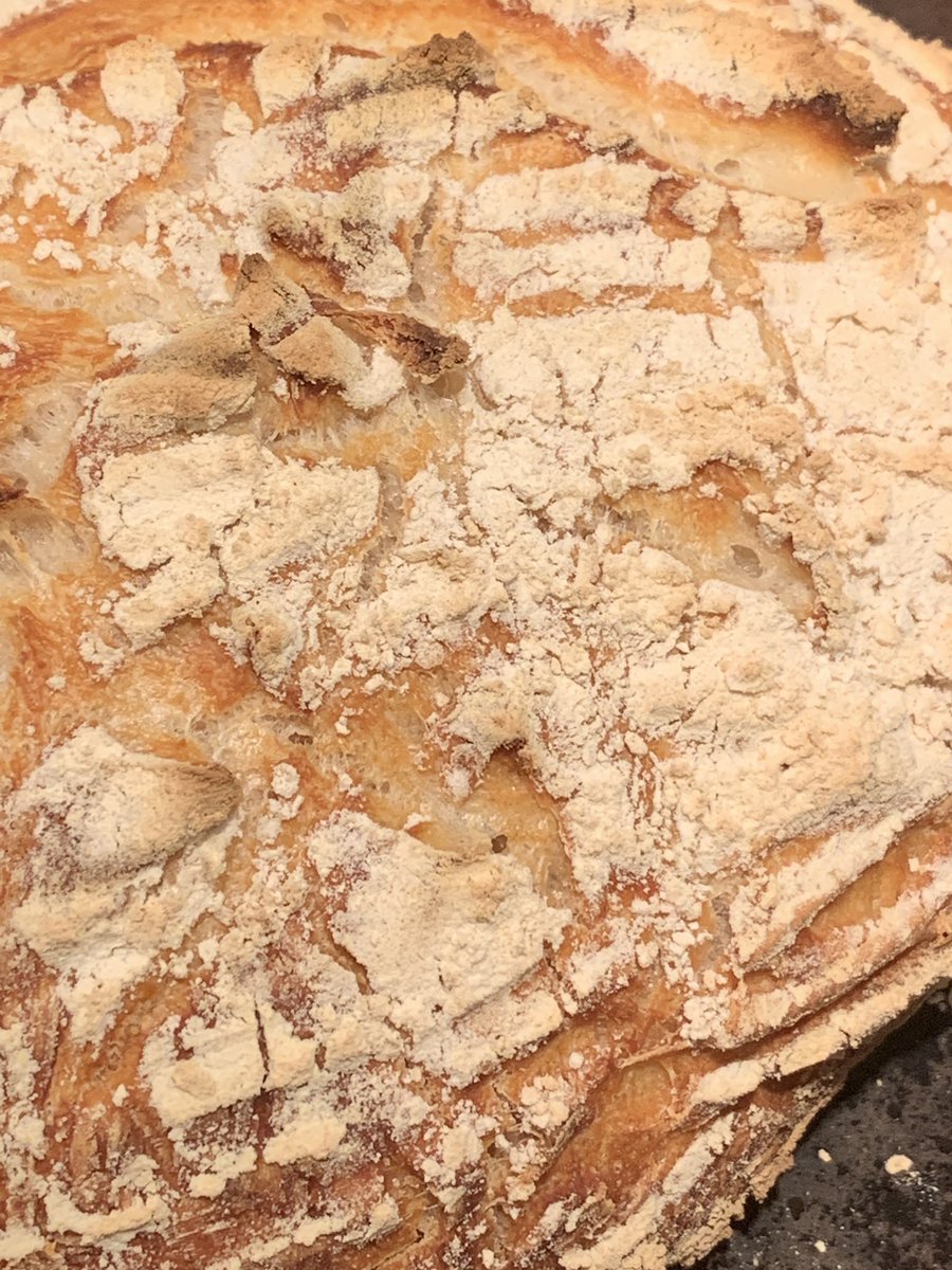 slicedbreadarch's tweet photo. Nailed it…#sourdoughstarter https://t.co/UNP6t7K06I