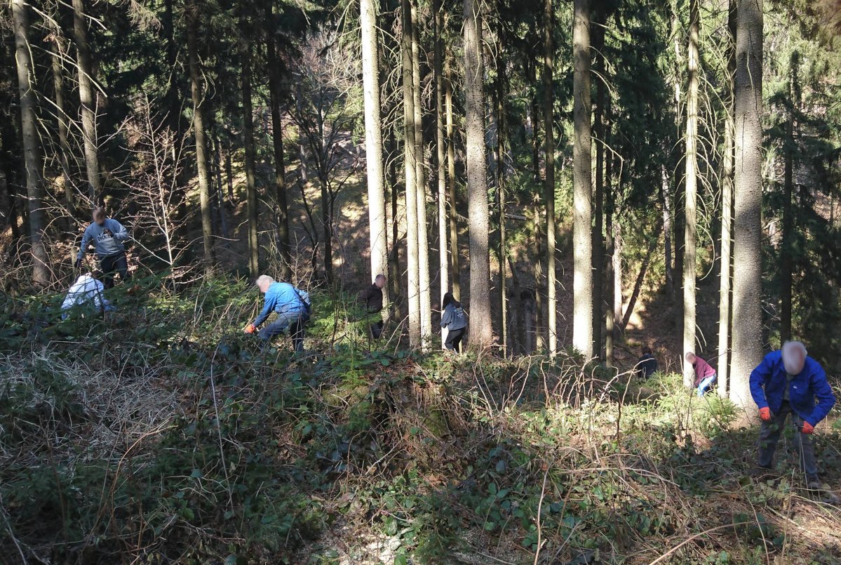 GrueneSOE's tweet photo. Im Frühjahr &amp; Herbst ist #Pflanzzeit &amp; der #Sachsenforst sucht immer freiwillige Helfer:innen, die bei der #Aufforstung der #Staatswälder unterstützen. Auf schwer zugänglichen Flächen ist das nämlich reine #Handarbeit ⛏️💪🫠
(👇Aktion organisiert von Menschen aus #Dippoldiswalde) https://t.co/pwA4dgVF9J