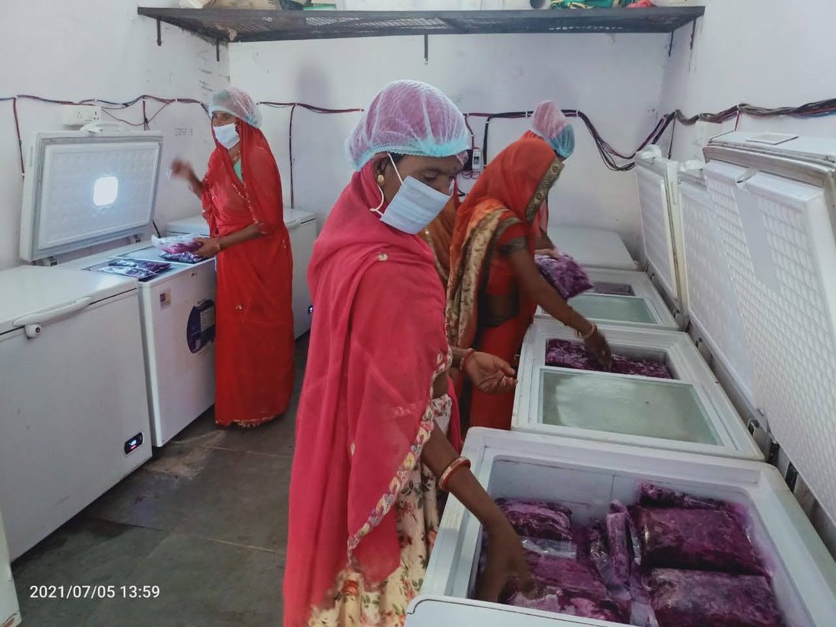 Tushar Devidayal (@tdevidayal) on Twitter photo Solar refrigeration for forest produce in tribal areas helps avoid wastage and spoilage. Solar refrigeration for forest produce in tribal areas helps avoid wastage and spoilage.