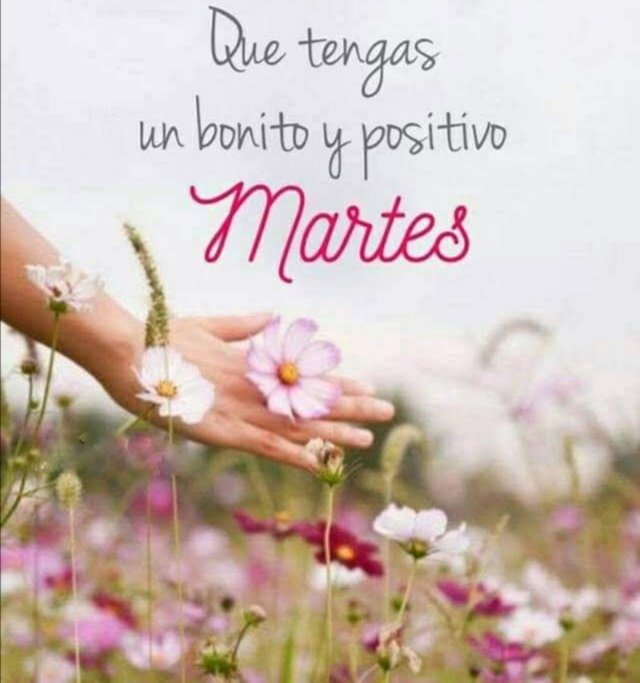 Yaningpe's tweet photo. Buen dia https://t.co/IaugOGdKwq