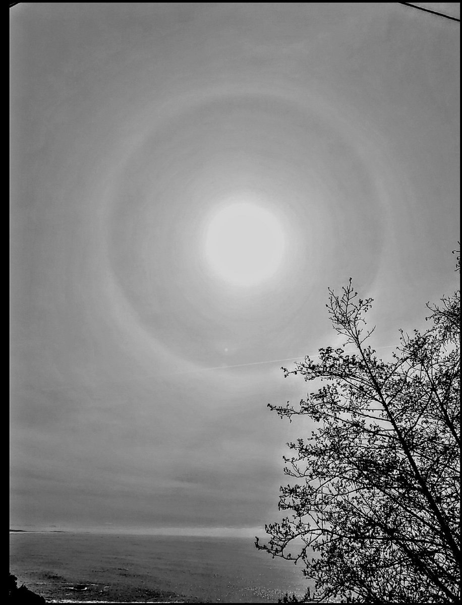 lone_wolf__1's tweet photo. shadows n 'introspections
#sunhalos #nature #photography #life #art 🥀 https://t.co/k2IBFzv7BZ