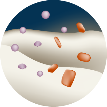 #boneregeneration #tissueregeneration #mbcptechnology

#step6 #cell #differentiation
Step 6 in bone regeneration is stem differentiation: stem cells differentiative into osteoclasts and osteoblasts.

#knowledgesharing #knowledgeexchange #keeplearning
#followusformore