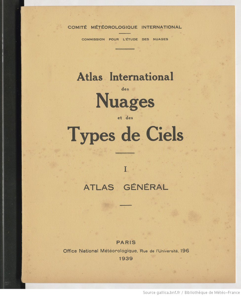 Clara Dealberto tweet media