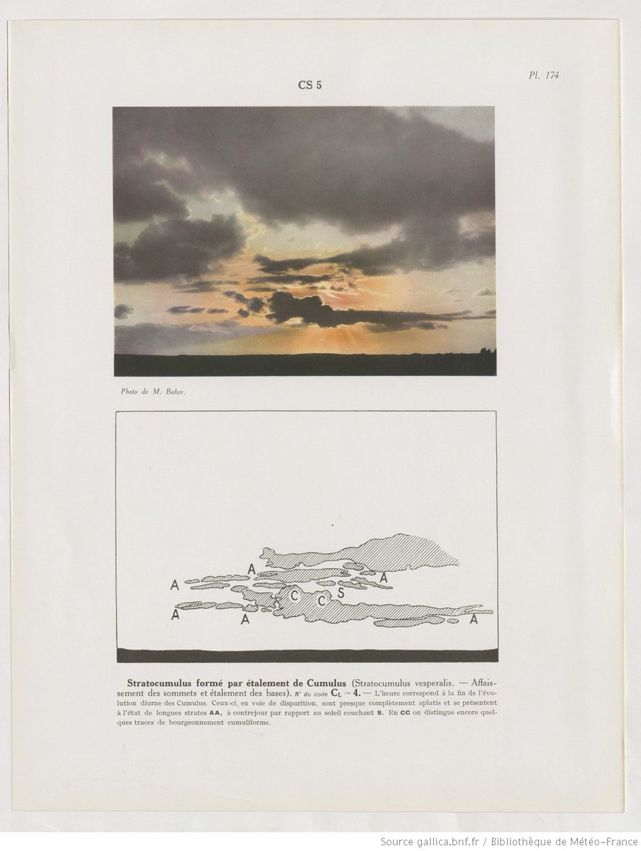 Clara Dealberto tweet media