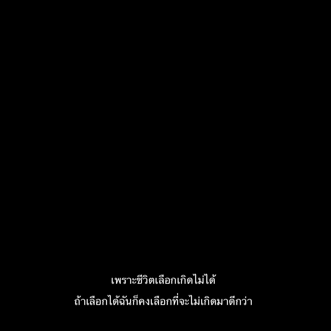 ✴︎ tweet media