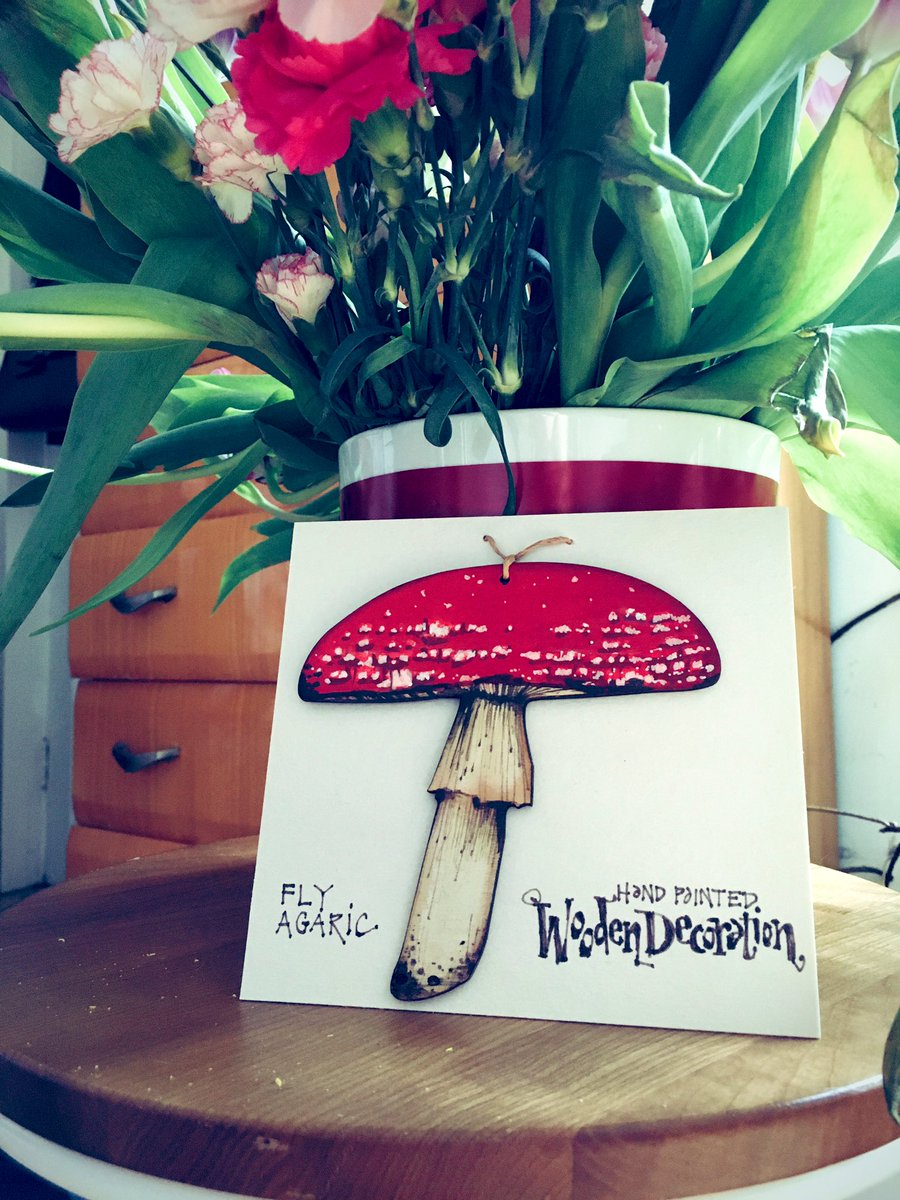 aheavysoul's tweet photo. All new wooden funghi decorations heading for @HighPeakArtists Gallery in the Gardens right now ๐โโ๏ธ๐ plus more exciting funghi related news coming v.soon. #fungi #fungiart #Mushroom #andreajoseph https://t.co/PgtXPRX2kS