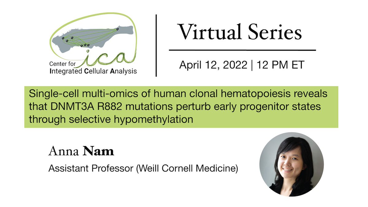 Rahul Satija (@satijalab) on Twitter photo Our next <a href="/cegs_ica/">Center for Integrated Cellular Analysis</a> virtual seminar will be on April 12 at 12PM ET
<a href="/AnnaEnim/">Anna Nam</a> will present her work w/<a href="/landau_lab/">Dan Landau</a>, profiling genotypes, transcriptomes, and methylomes in single cells to explore drivers of human clonal hematopoiesis
Free registration: nygenome.zoom.us/meeting/regist… Our next <a href="/cegs_ica/">Center for Integrated Cellular Analysis</a> virtual seminar will be on April 12 at 12PM ET
<a href="/AnnaEnim/">Anna Nam</a> will present her work w/<a href="/landau_lab/">Dan Landau</a>, profiling genotypes, transcriptomes, and methylomes in single cells to explore drivers of human clonal hematopoiesis
Free registration: nygenome.zoom.us/meeting/regist…