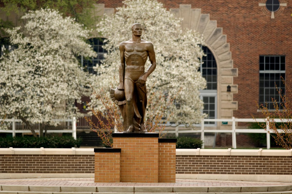 msualumni tweet picture