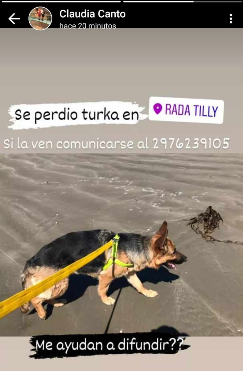 fmvip's tweet image. #Perdida en #RadaTilly