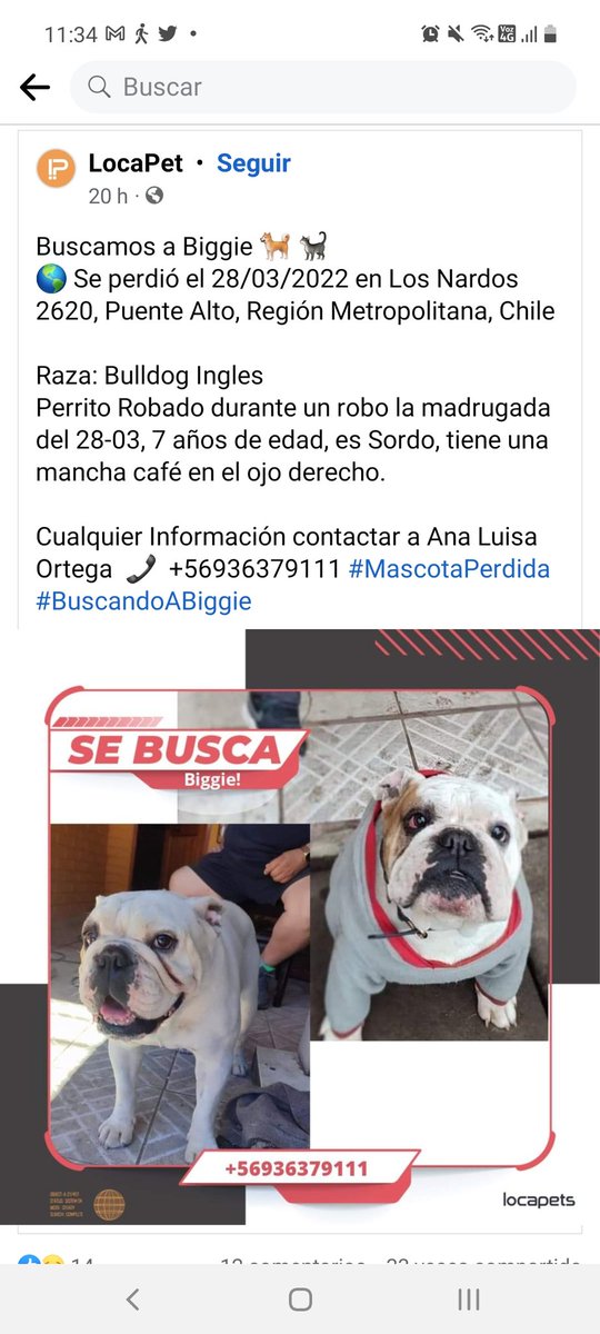 paola gonzalez tweet media