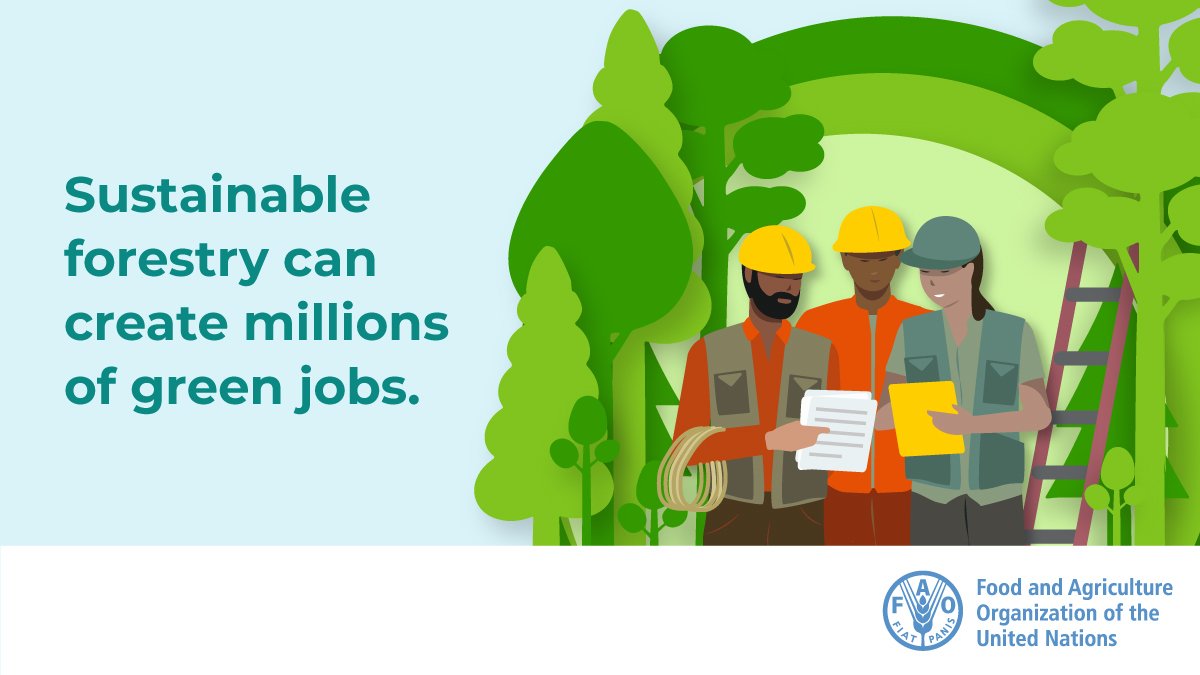 FAOForestry's tweet photo. Sustainable forestry can create millions of green jobs. https://t.co/vq6Q9YS3mr