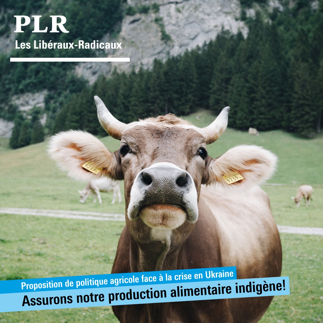PLR_VD's tweet photo. Résolution du député PLR @jlbezencon acceptée par le #GCVD ! 

Le Conseil @EtatdeVaud interviendra auprès du 🇨🇭Conseil fédéral🇨🇭 sur ses propositions en matière de politique agricole pour parer à l'urgence 🌽 👨‍🌾 🚜

Plus d'infos 👉🏻 https://t.co/zSCZdfF7ex

#ukraine #agriculture https://t.co/VSGPQVS9iM