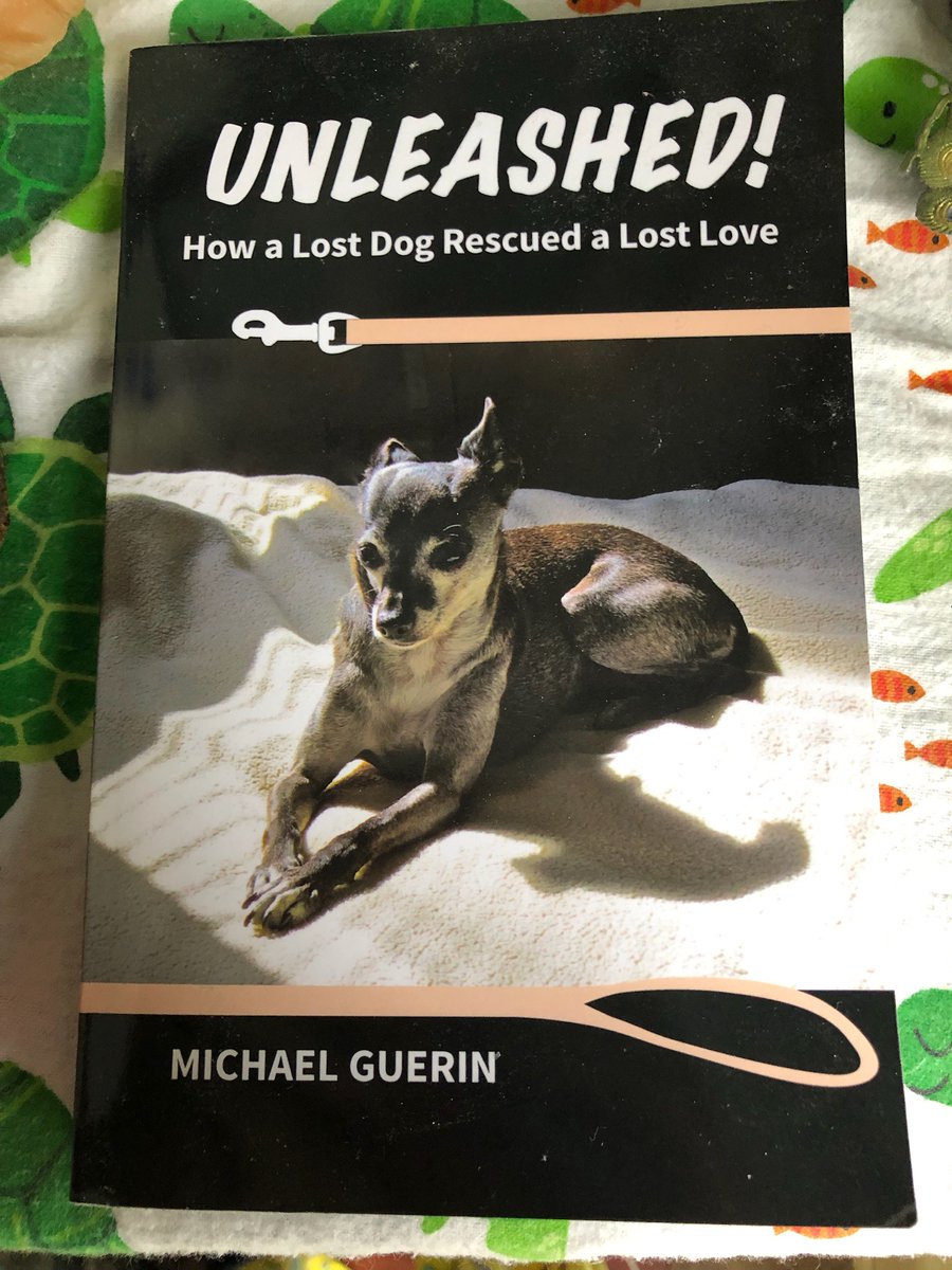 ZeeZeethedog's tweet photo. Thank you to ALL who RT about the book- we have copies to give away on HELP FIND ZEEZEE page on Facebook before 4/9 Just like the page! TY RT! #Facebook #giveaway #dogsoftwitter https://t.co/3yPdfFJlai