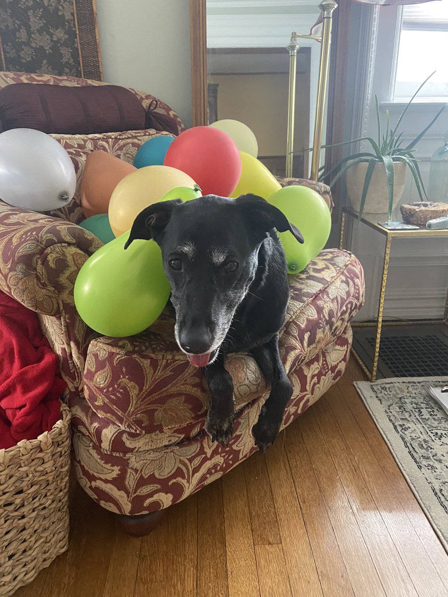 Donny Dreamboat tweet media