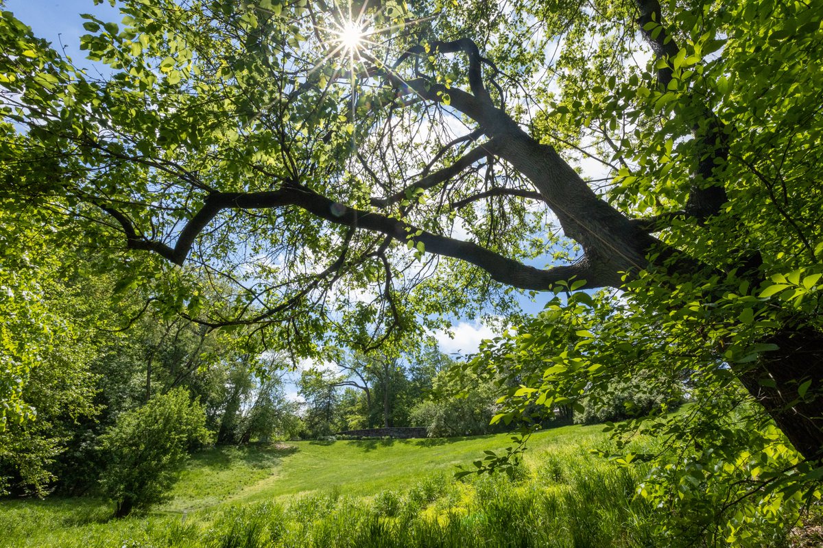 Tregaron Conservancy tweet media