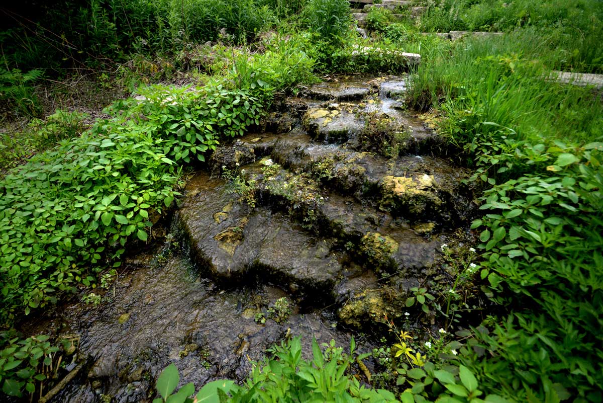 MetCouncilNews's tweet image. Our draft Priority Waters List is a compilation of the most important regional waterbodies in the seven-county metro area. Your feedback will help determine how to prioritize and allocate staff time and grants, and shape policies to improve water quality: metrocouncil.org/News-Events/Wa…