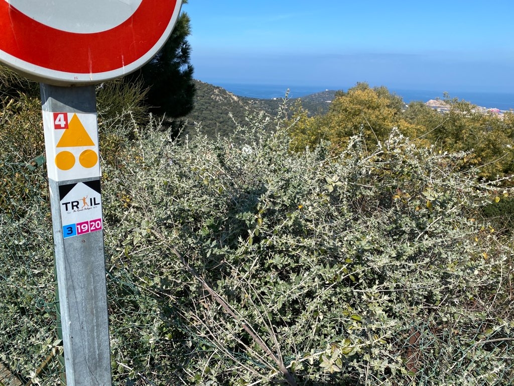Office de Tourisme L'Île-Rousse Balagne tweet media