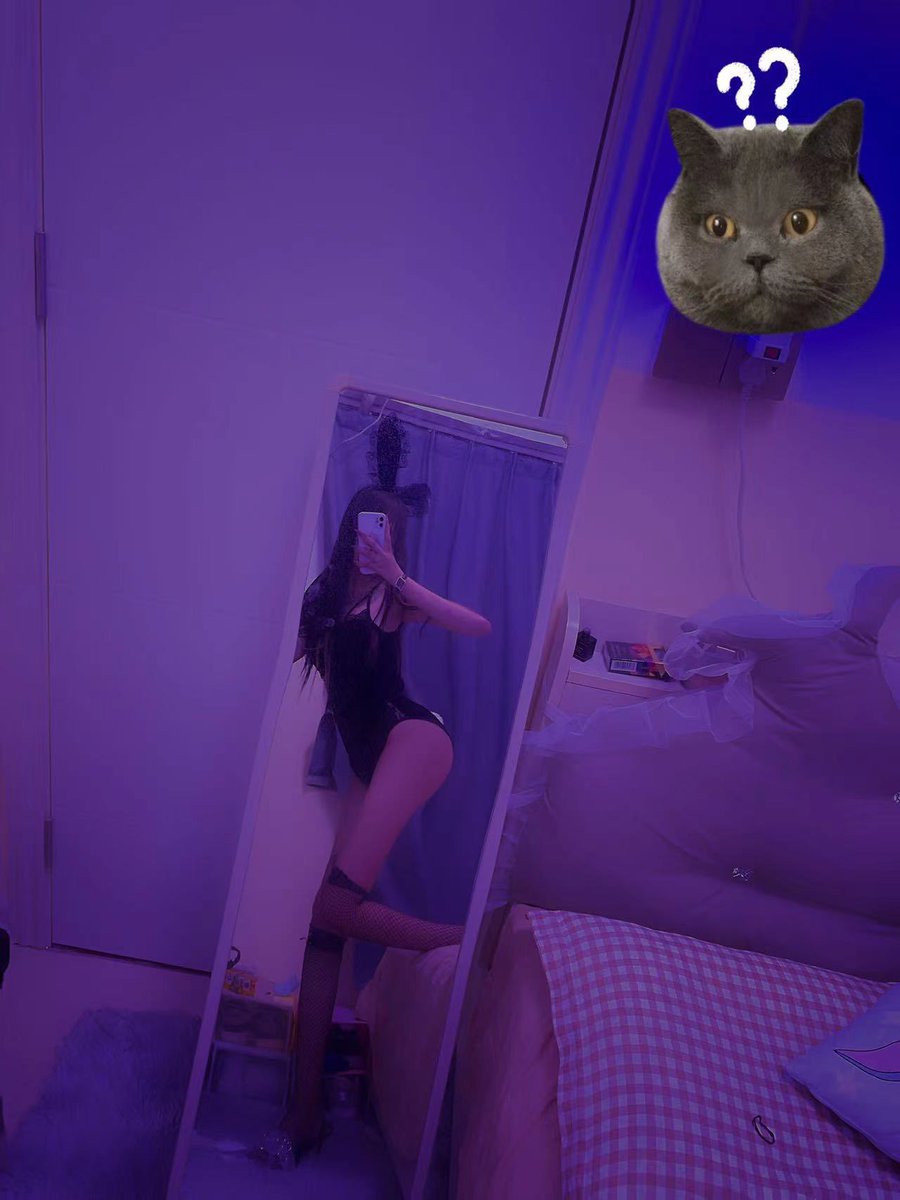 媒体预览