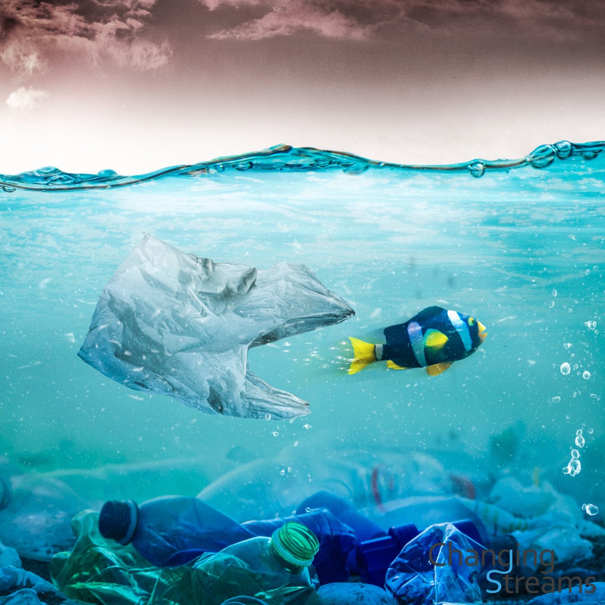 changingstreams's tweet photo. As part of our mission as an organisation, we ask you to help us tackle plastic pollution on a global scale.
We strive towards a world where humanity's dependence on plastics is much lower than it is today.
Find out more: https://t.co/OfqGO6jrnE
#plasticpollution #changingstreams https://t.co/Zy1TSdqbRa