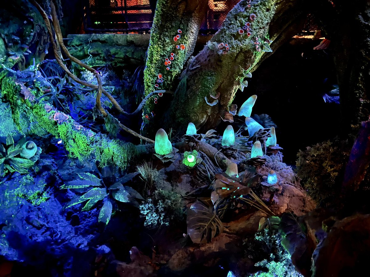 ogorangebird's tweet photo. Some pictures from the #FlightsofPassage queue. That area is insane. #AnimalKingdom #Pandora #WaltDisneyWorld https://t.co/EbI0iU84NV