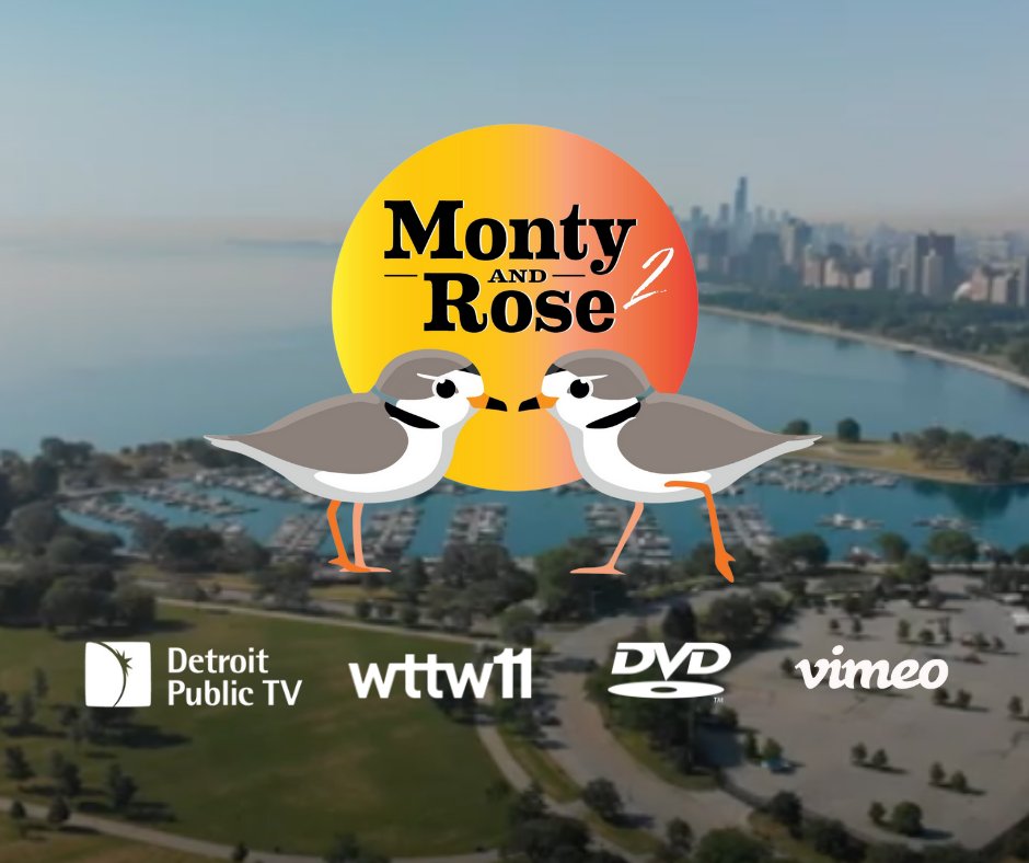 bobdolgan's tweet photo. Some news, "Monty and Rose 2: The World of Monty and Rose" will air on @detroitpublictv and @wttw next month, April 18 in Detroit and April 21 in Chicago, both at 10 p.m. local time. Here's to the dapper pair returning for another nesting season. https://t.co/ox3MERoeaQ