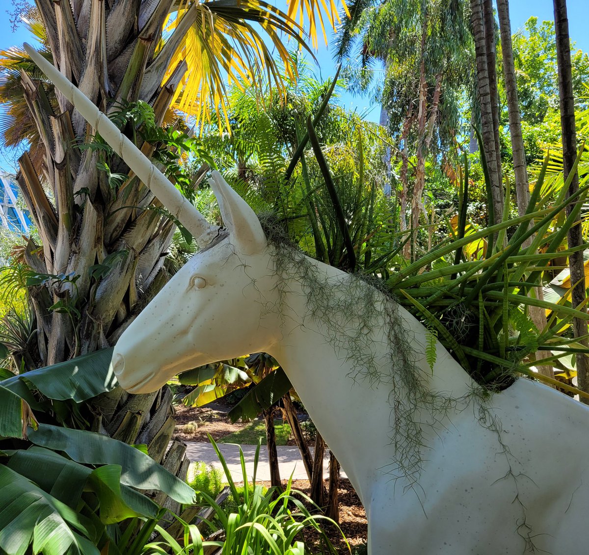 billeecox's tweet image. Whenever I #lookintothemirror this image is always #staringback I #feelpretty oh #sopretty