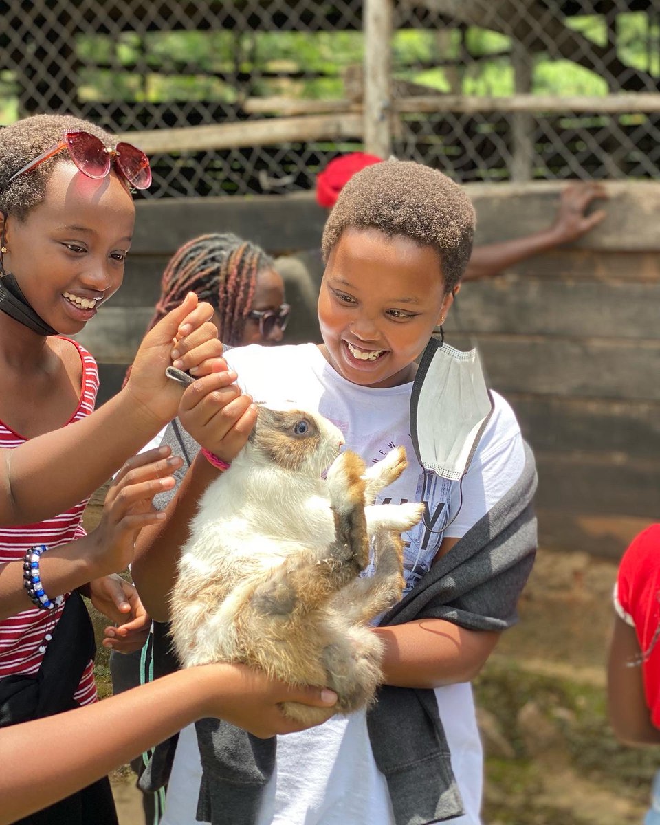 SharamaTours's tweet photo. We didn’t just sing Old Mc Donald had a farm , we actually visited a real farm and made new buddies 😃!  #kidsfarmexperience 🇷🇼 #RwOT #visitrwanda #travelwithsharama #niksaloon https://t.co/nr6EmvZztf