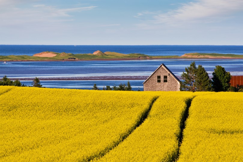 Thank you P.E.I. farmers! Over 600 fields and more than 21,000 ac of <a href="/swatmaps/">SWAT MAPS</a> made here on this sandbar since 2020. Looking forward to chatting with farmers at the @PotatoTechExpo tomorrow and Thursday in Charlottetown. 📷by Paul Baglole