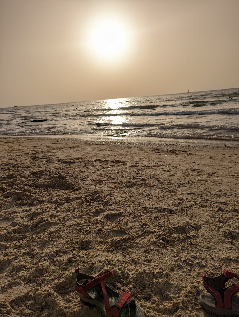 dafnacohen8's tweet image. איזה כיף שנגמר החורףףף
רק למה לא קניתי עוד צ'יטוס🙆🏻‍♀️