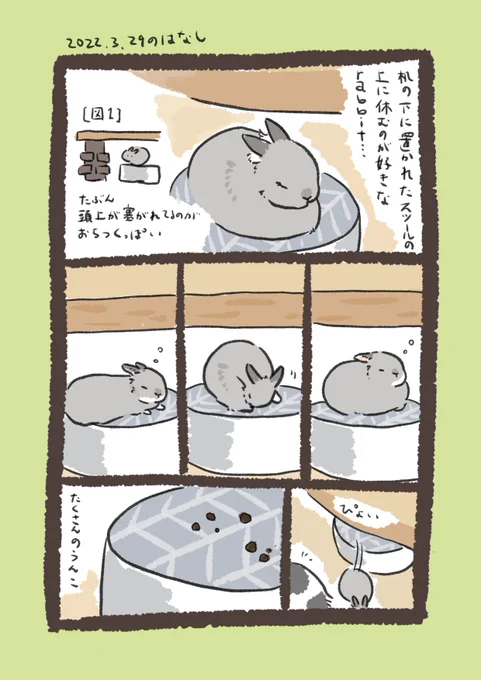 今日のrabbit…
#うさぎのいる生活 