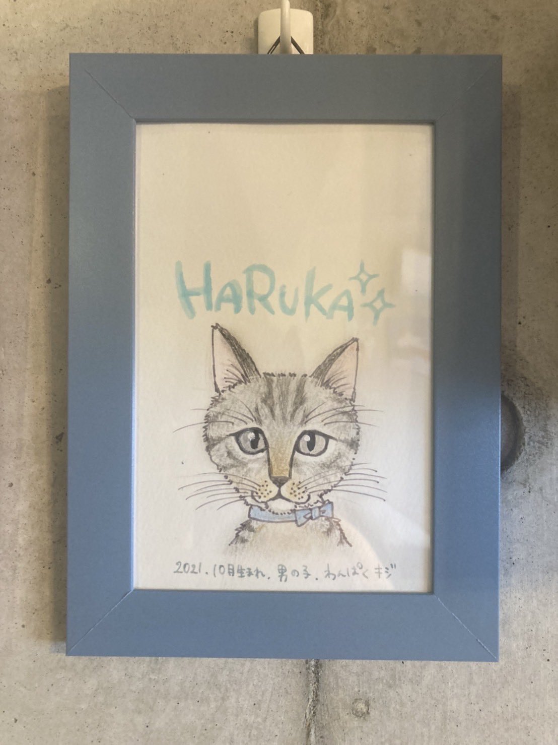 Nya Ago シェアハウス入居者募集中 Nya Ago285 Twitter