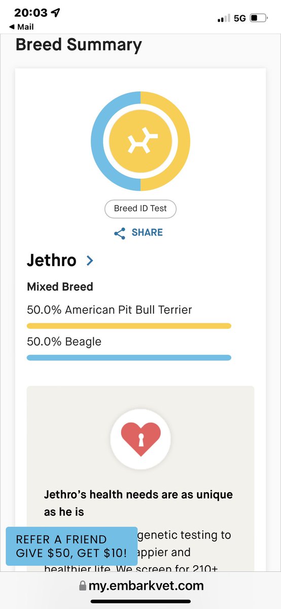 Kraphead123's tweet photo. Got my DNA results and no where in there does it say I am part silly clown like my family says I am🤡.  Guess I am officially known as a “BeagleBull.”  #beagle #BeaglesofTwitter #Pitbulls #AdoptDontShop #bestdog https://t.co/UxO3M2lGn7