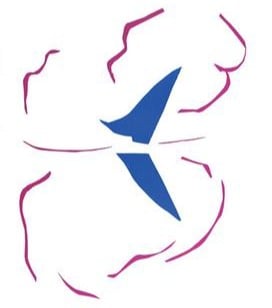 hnck_gallery's tweet photo. In 1961 Henri Matisse's 'La Bateau' was hung upside-down in New York's MoMA. It took 46 days for someone to realise! #Matisse #MoMA #LaBateau https://t.co/bpcd1r1aV6
