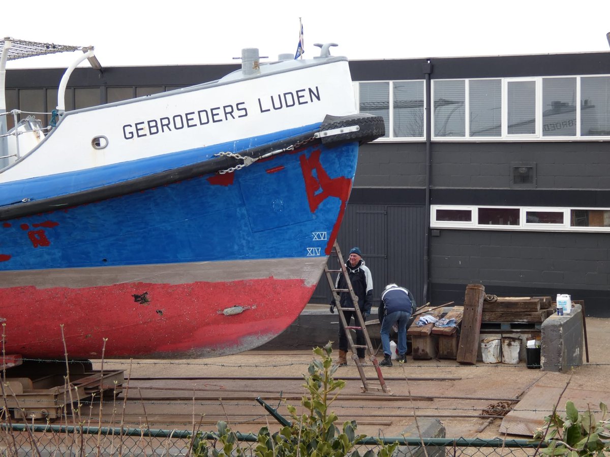 GebroedersLuden's tweet photo. Vele handen maken licht werk! #helling #knippenenscheren @bms_bv https://t.co/M5NxpMh3qk