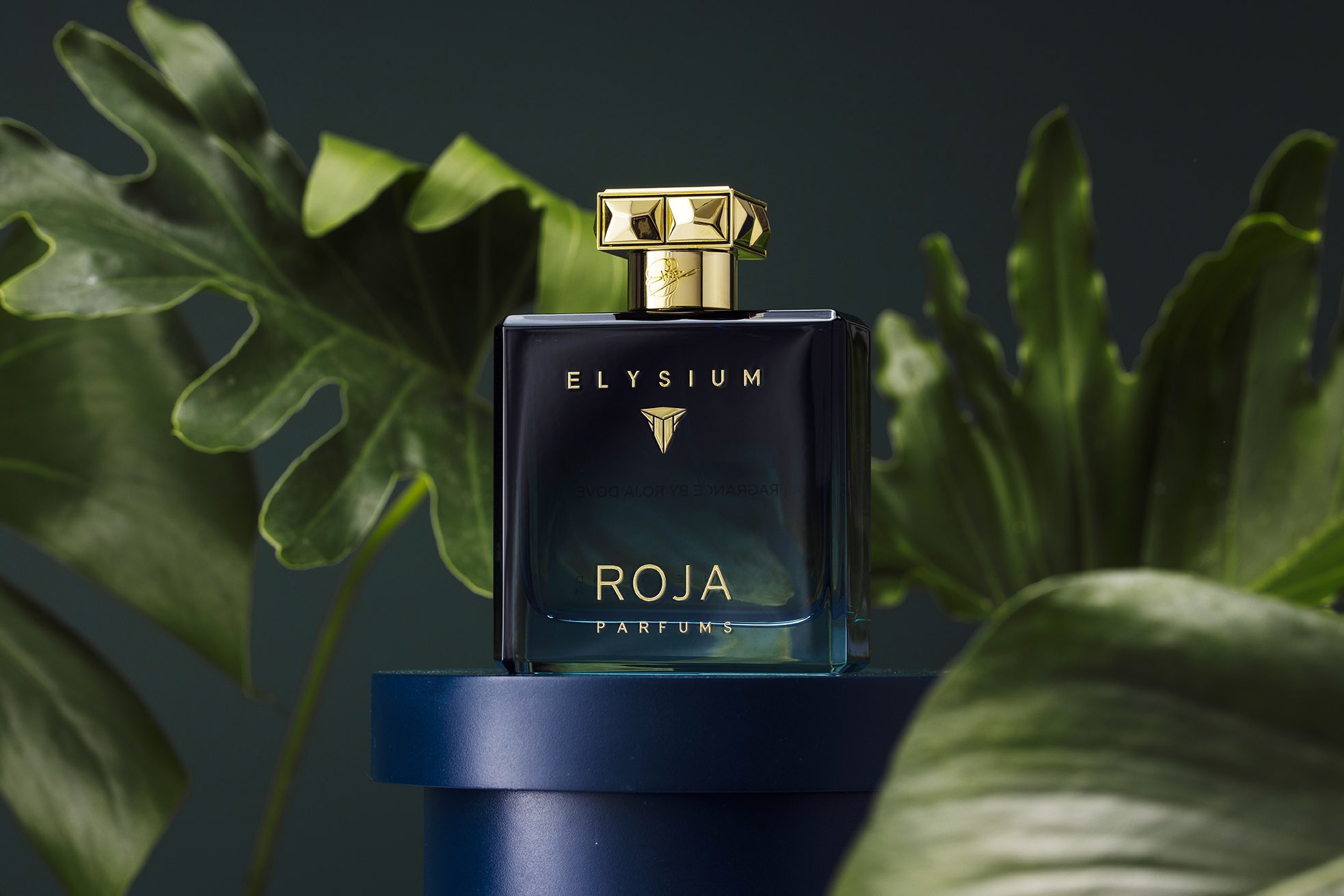 Roja dove elysium pour homme cologne