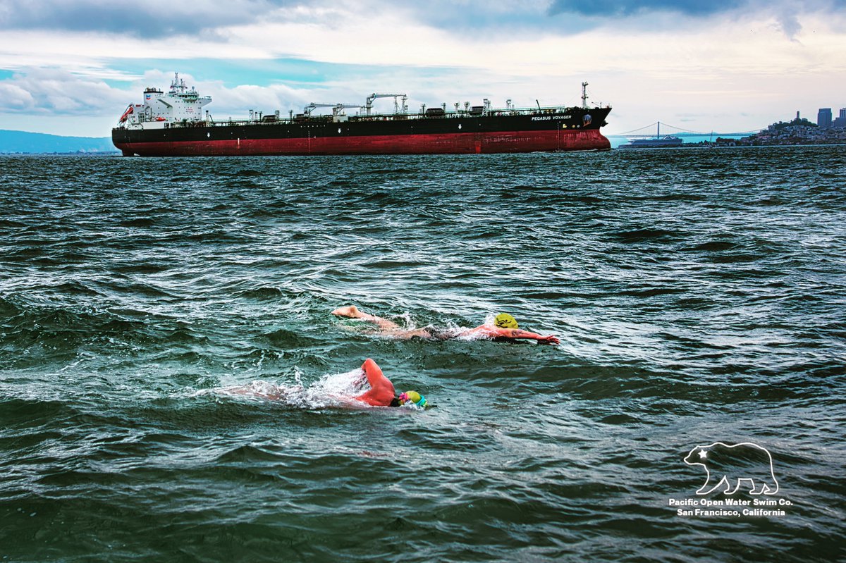 PacificSwimCo's tweet photo. The Pegasus Voyager is a 902-foot oil tanker. We steer clear of her quite often in San Francisco Bay. As she headed to sea, we were also in a great spot for photos as we completed a 10-mile GGB/Angel Island loop.  #swimSF #marathonswimming #SwimTraining #openwaterswimming https://t.co/0jv3l55kCw