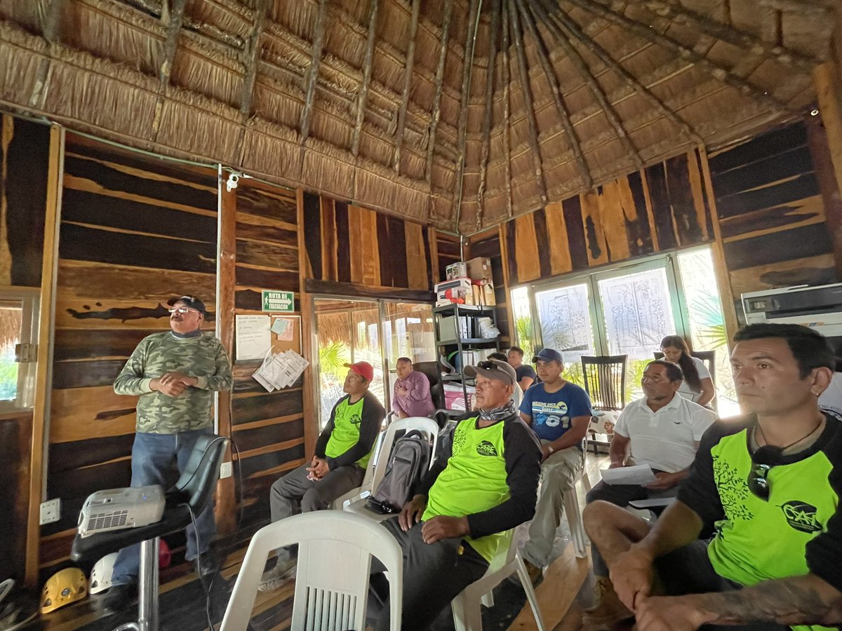 AmaSureste tweet media