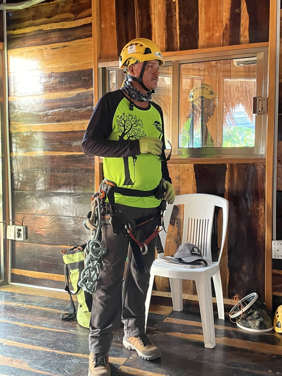 AmaSureste tweet media