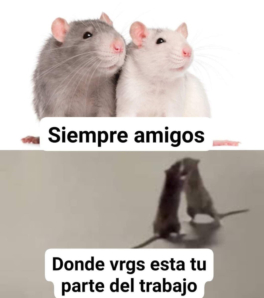 este meme si me representa