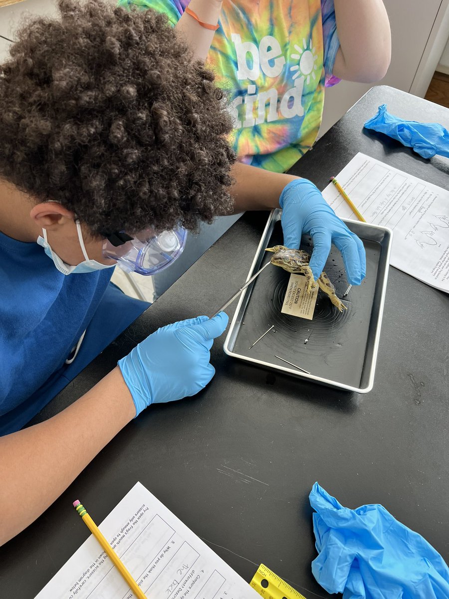 Sophia Burden tweet media